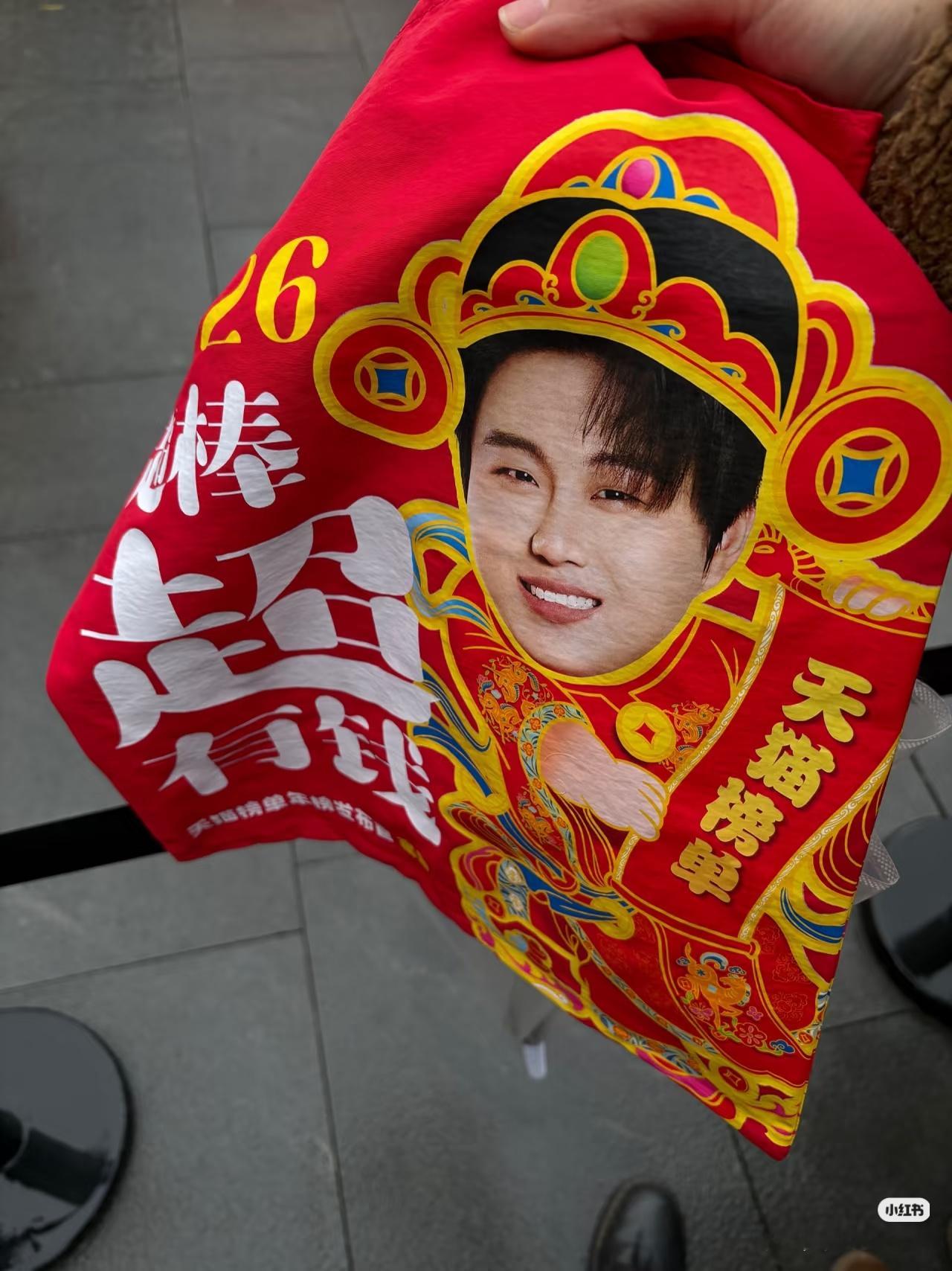 双高胎 哎！这太喜庆了 