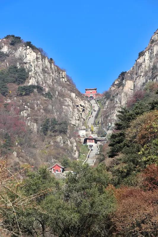 超2500万元建设成本不说，这围网威慑感十足，哪有旅游景区该有的样子。世界那么大