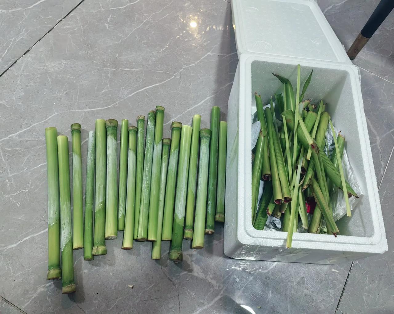 分享手机里的花花草草绿皮甘蔗还有谁记得[呲牙]小时候的味道[玫瑰]好多年没吃过了