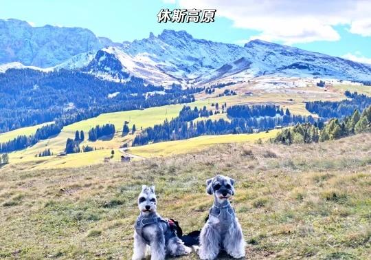 欧洲游碎碎念｜Day4 休斯高原⛰️刀锋山
🌞时间安排 休斯高原和刀锋山的缆车