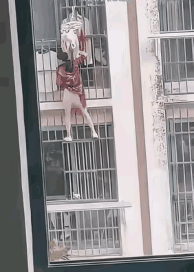 为了一口吃的，冒着生命危险啊