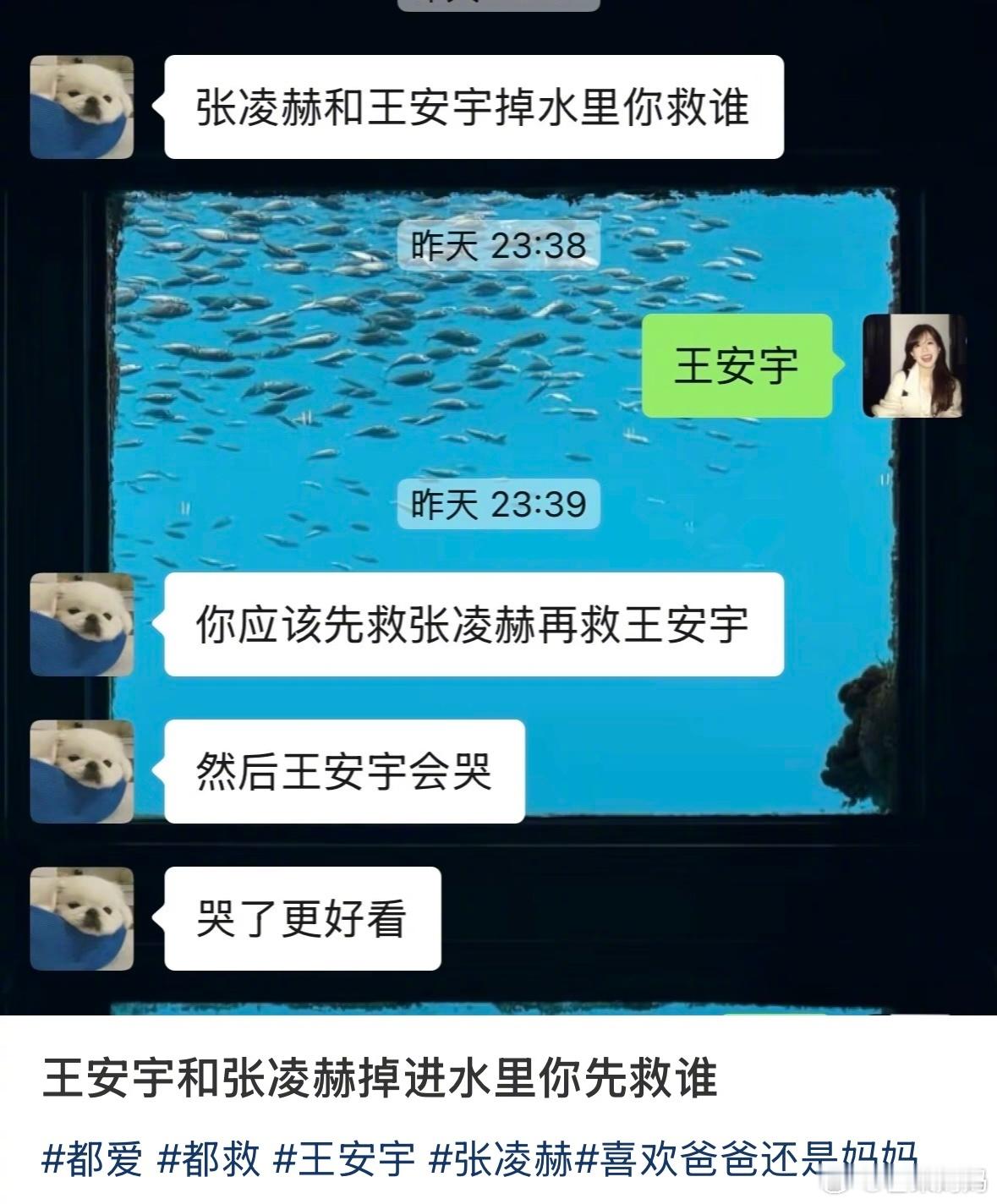 “王安宇和张凌赫掉进水里你先救谁”这个问题的正解是： ​​​
