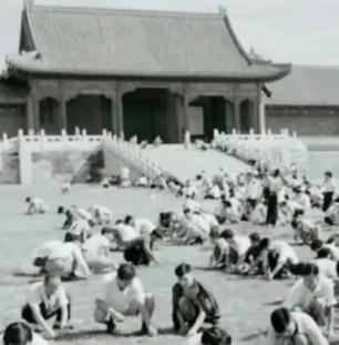 1949年，国家组织了7万人在北京故宫里清理垃圾，历时9个月清理出清末以来近40
