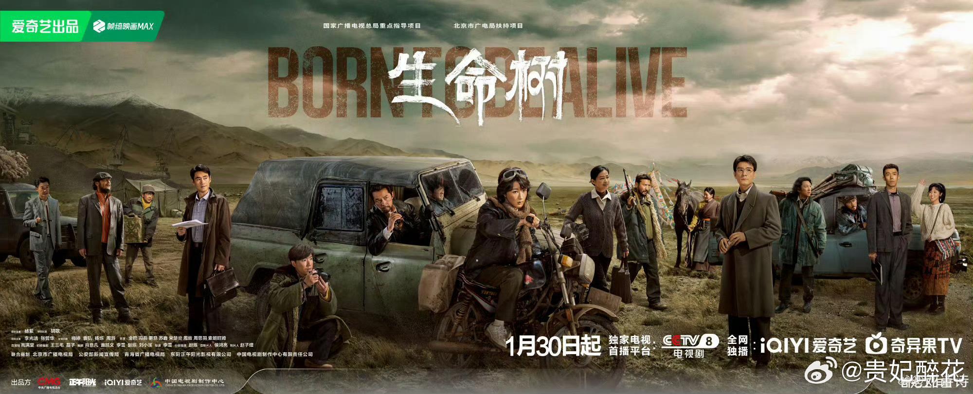 刘诗诗宣传生命树生命树好看吗 