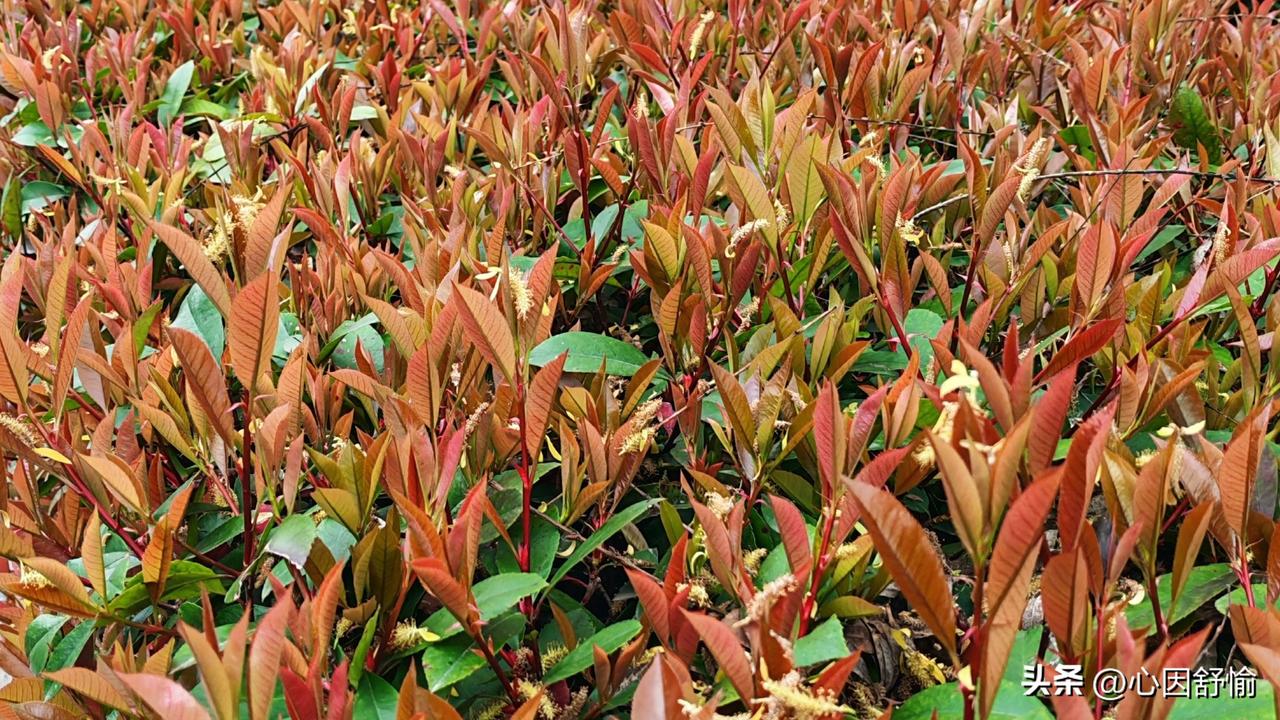 请友友对下联！
上联：小雨清明天落泪
下联：微风谷雨地升温
        （本