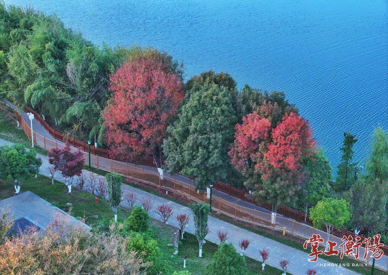 读《近思录》之2.88　

言有教，动有法。昼有为，宵有得。息有养，瞬有存。
