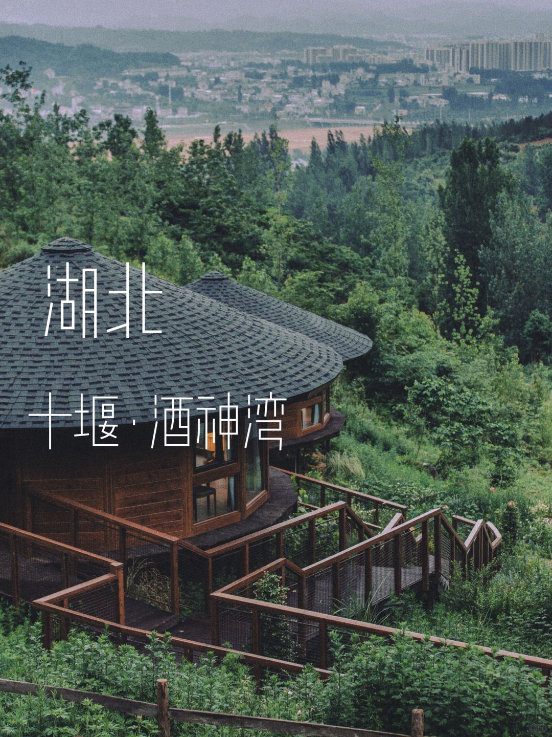 湖北小众秘境！藏匿于山林的童话树屋🌳