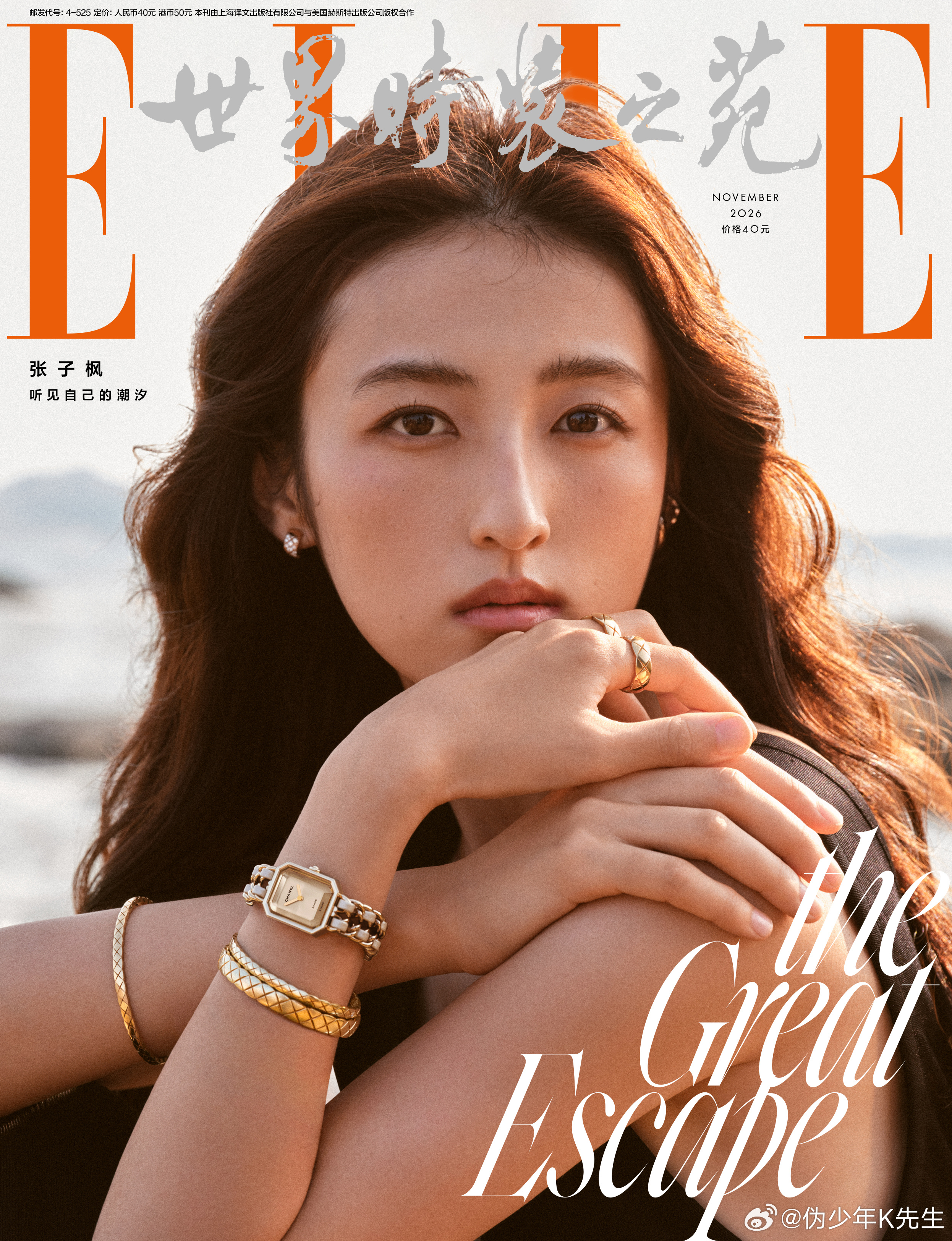 张子枫｜《ELLE CHINA》2026年11月刊封面及内页《ELLE》新刊封面