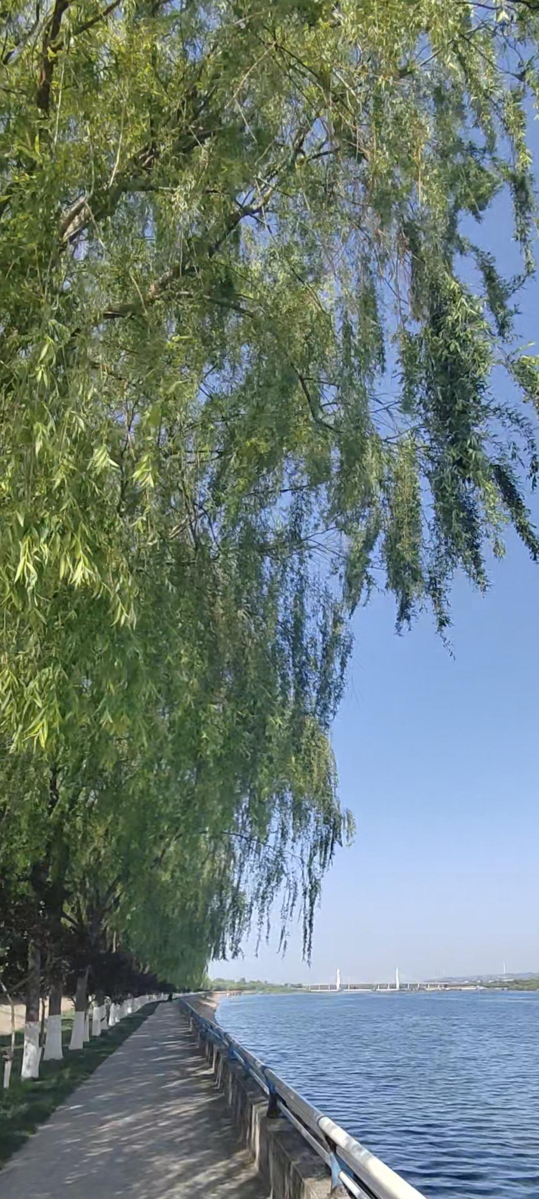 周末的路，是我最喜欢走的路。
沿途的风景，总能给我带来惊喜。
人生没有最好的年龄