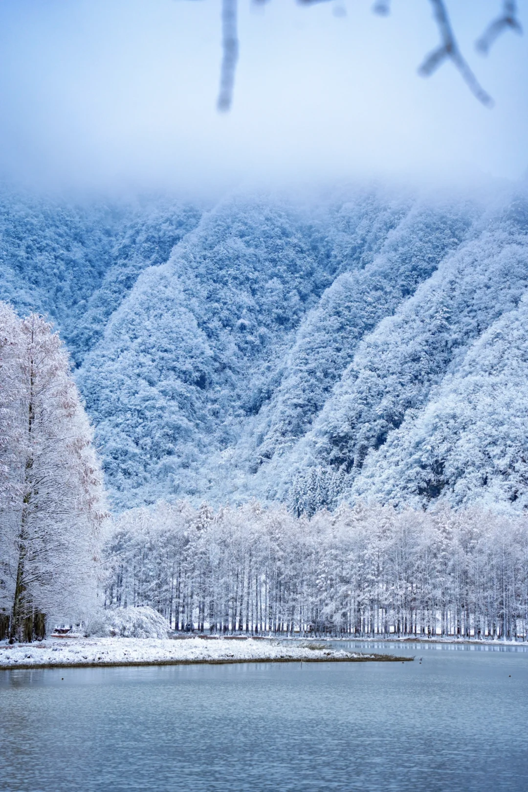 陕西人有自己的大兴安岭……太震撼了！！！