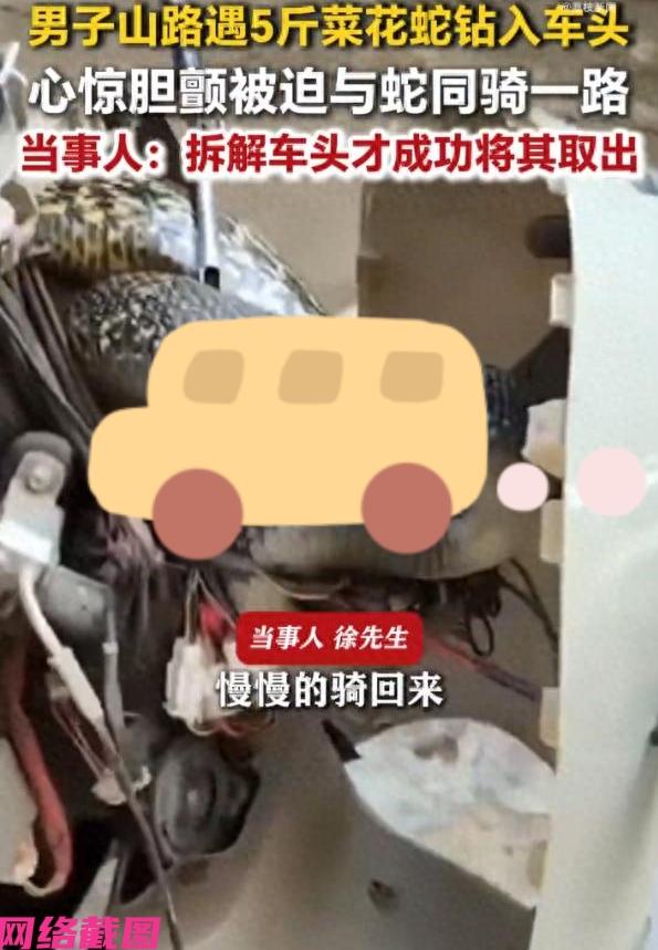 湖南衡阳有男子在山路骑电动车时，没预想到还遭遇到一条大蛇的碰面，此刻大蛇突然蹿出