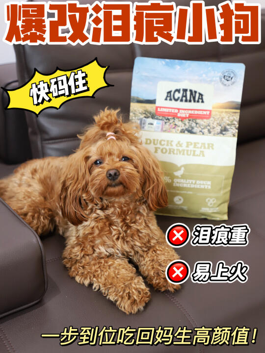 泪痕狗子救星！秒变妈生高颜值的秘密就是它！