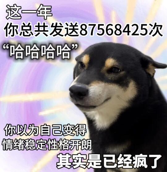 拜拜2024你好2025🥰