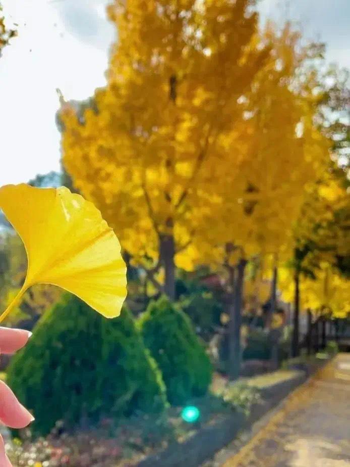 把心，磨成玉·默斋主人原创自由诗人这一生只是独自，凿一块顽石的心不必逃进山坳古刹