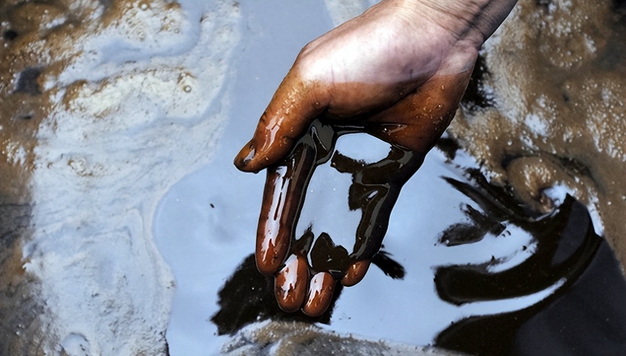在美华人组团偷“地沟油”？成员遍布多州，挣了上亿？！