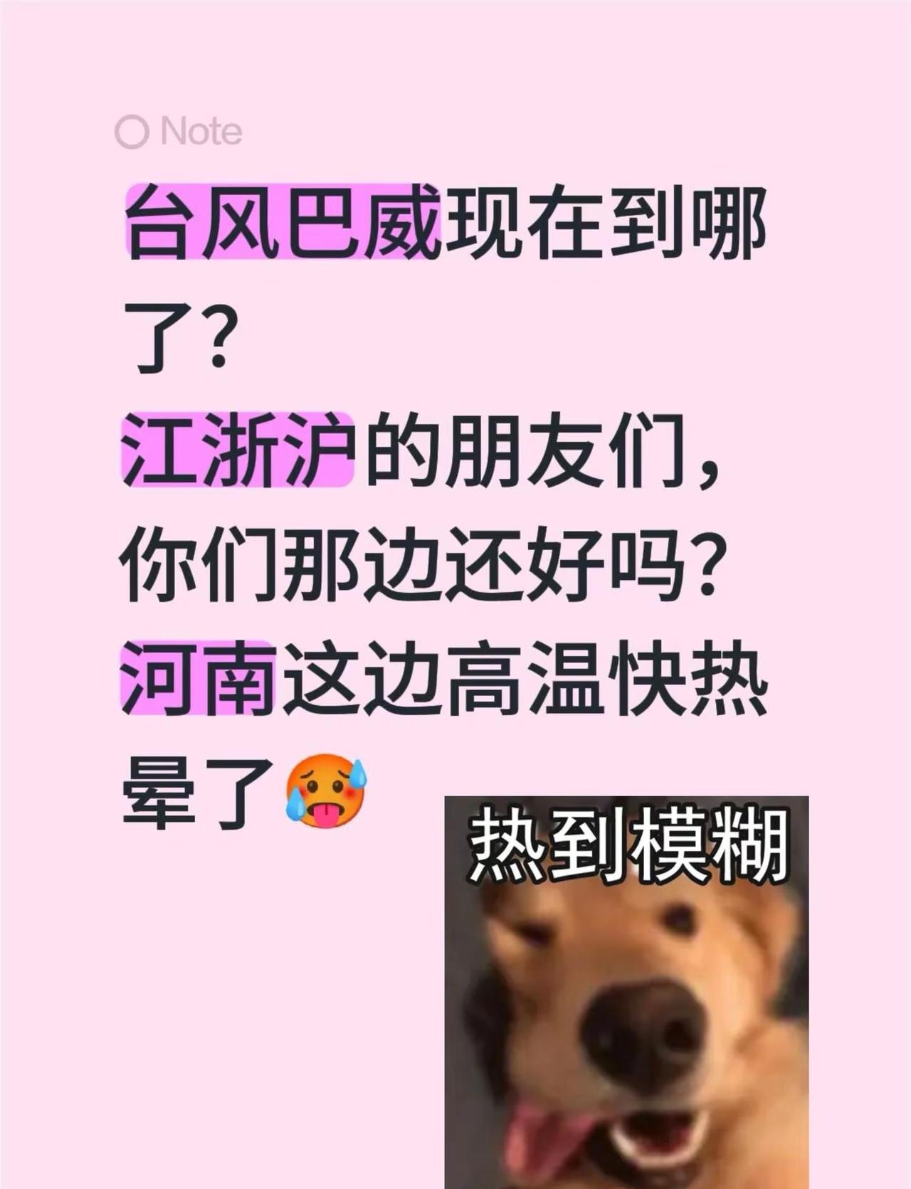 台风巴威现在到哪了？江浙沪的朋友们，你们那边还好吗？河南这边高温快热晕了🥵台风