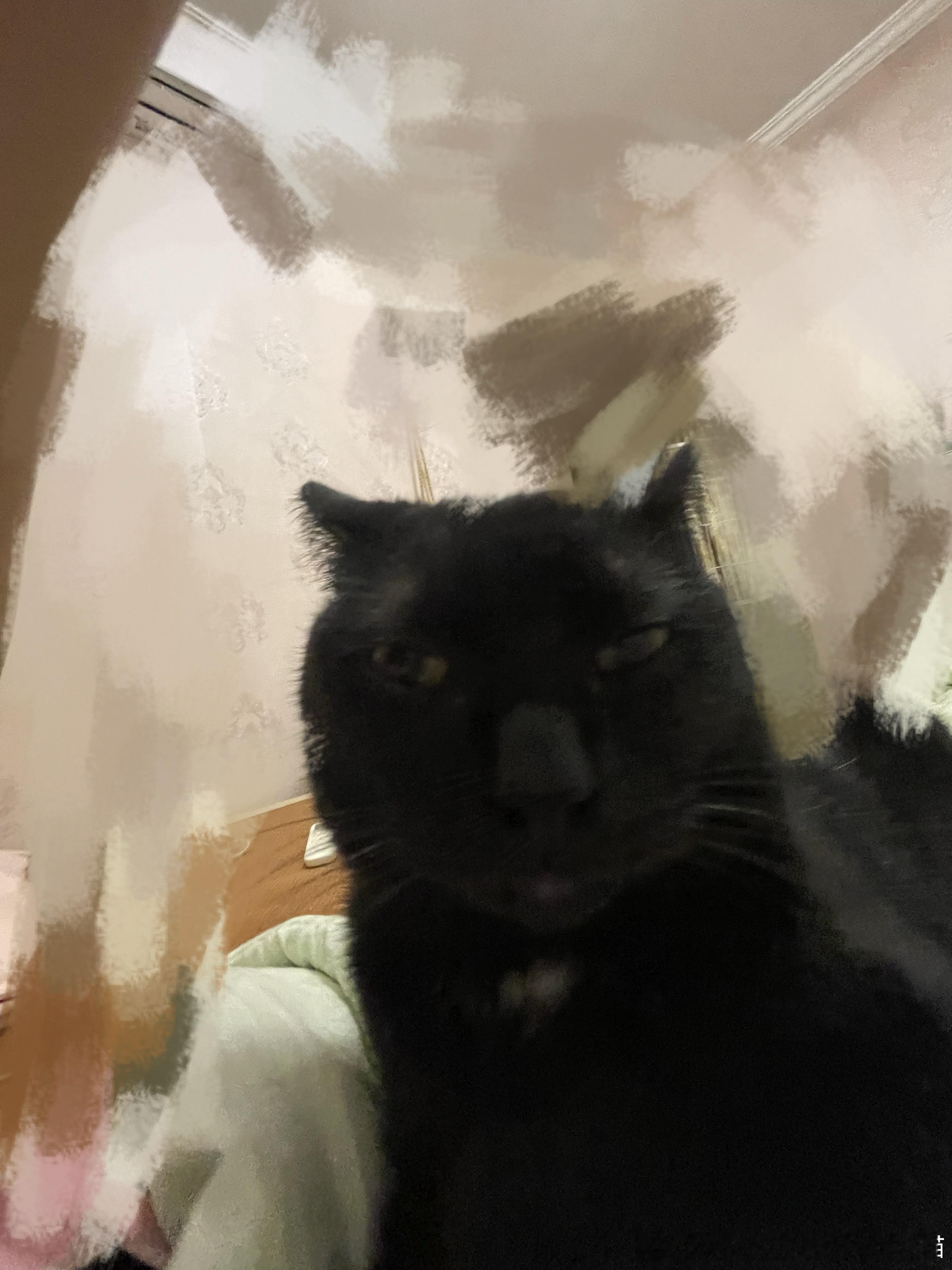 50408【丑猫】疑似有恋足癖且长相猥琐 