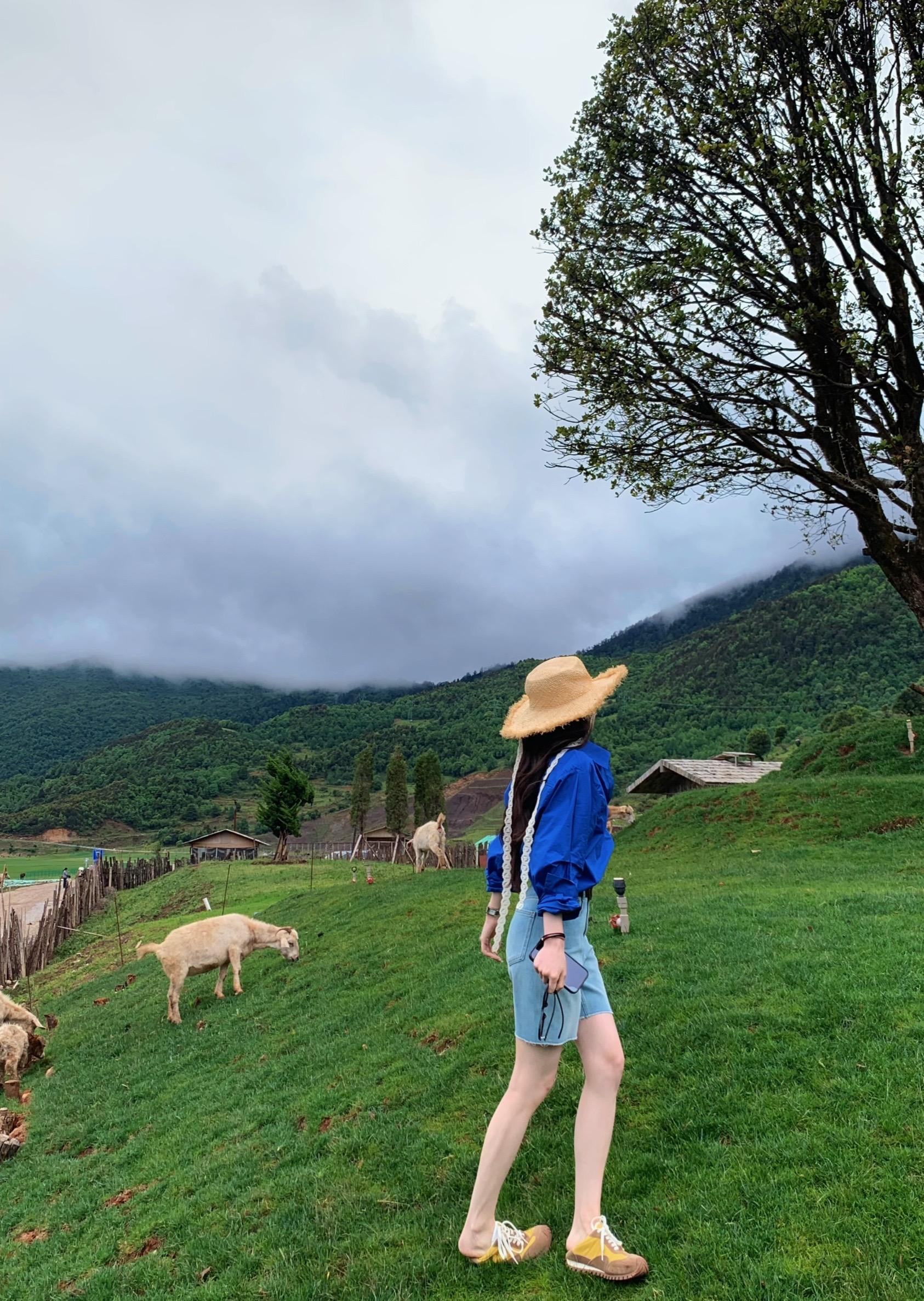 这世界大得让你很难不旅游