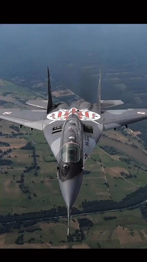 大新闻啊朋友们！武契奇这回亲自盖章了，塞尔维亚确实从咱们这买了高端武器，而且还是