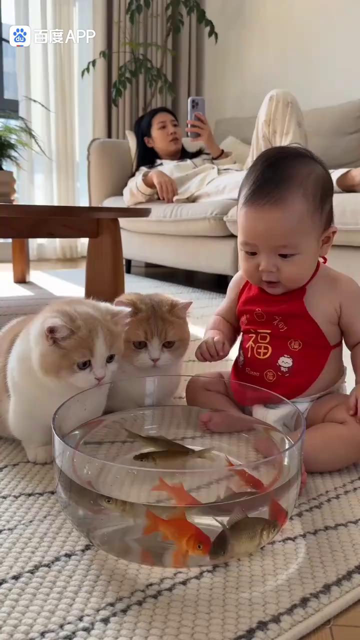 要做一个专业的演员吗？这不能吃。