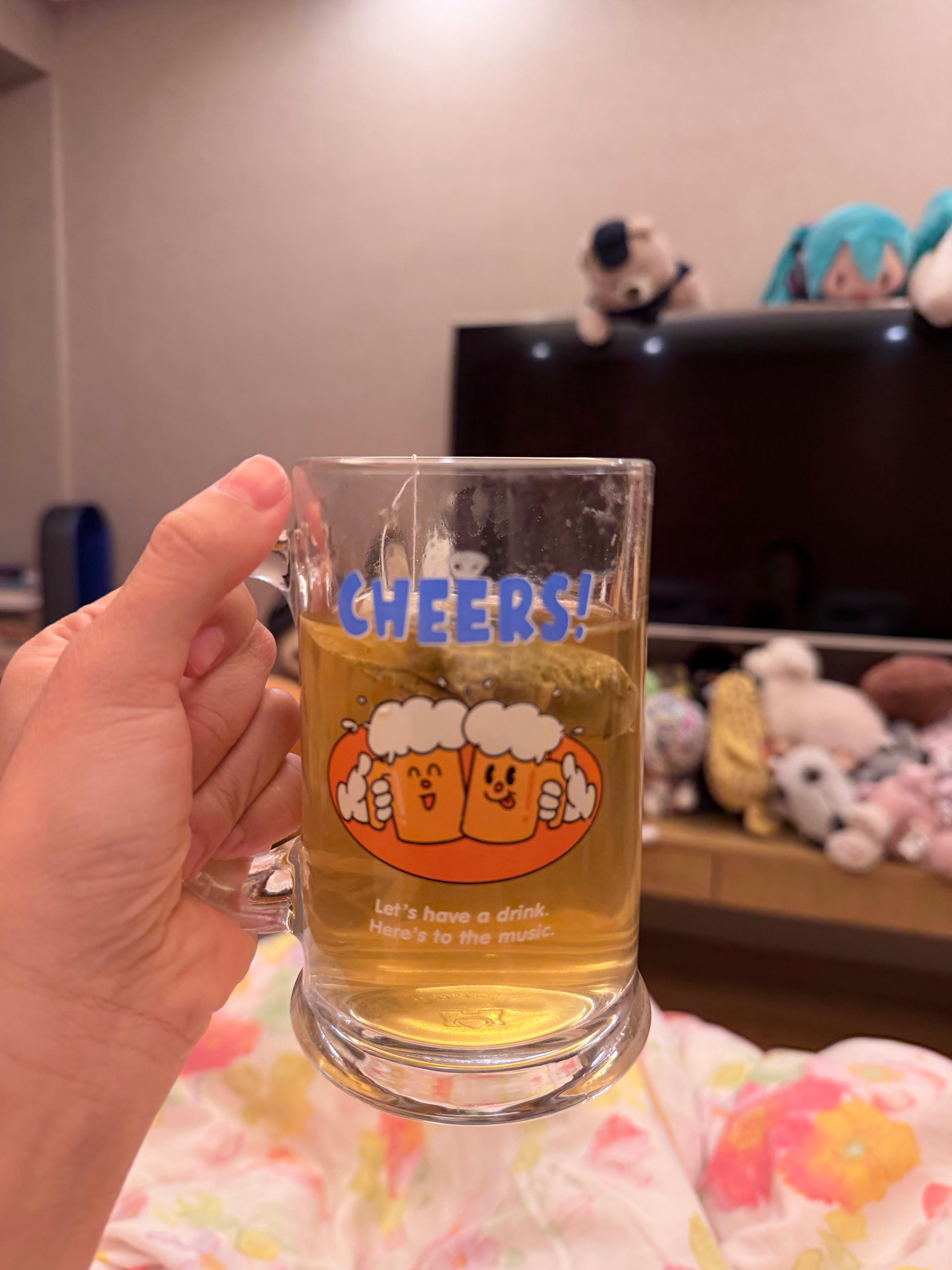 晚安我要睡了，明天飞大连