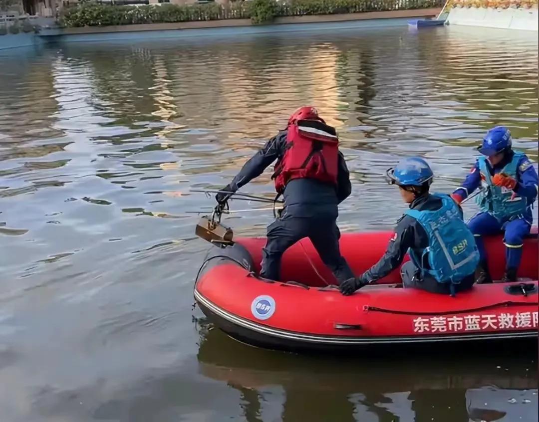 2024年12月16日下午，广东省东莞市寮步镇岭厦文化广场附近发生一起命案。一名