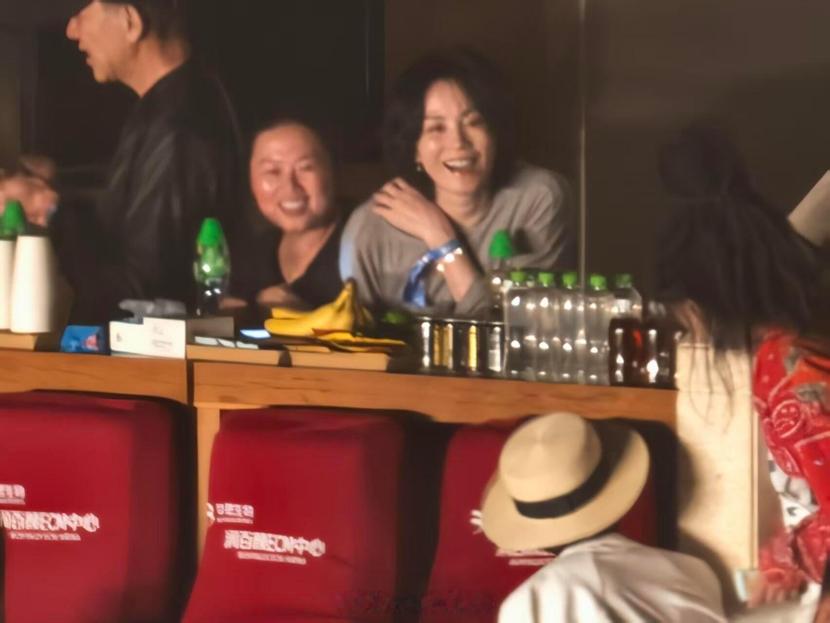 殷秀梅、屠洪刚、管虎、王菲、杨坤、张碧晨、宋丹丹去看那英演唱会啦！今晚包厢群像璀