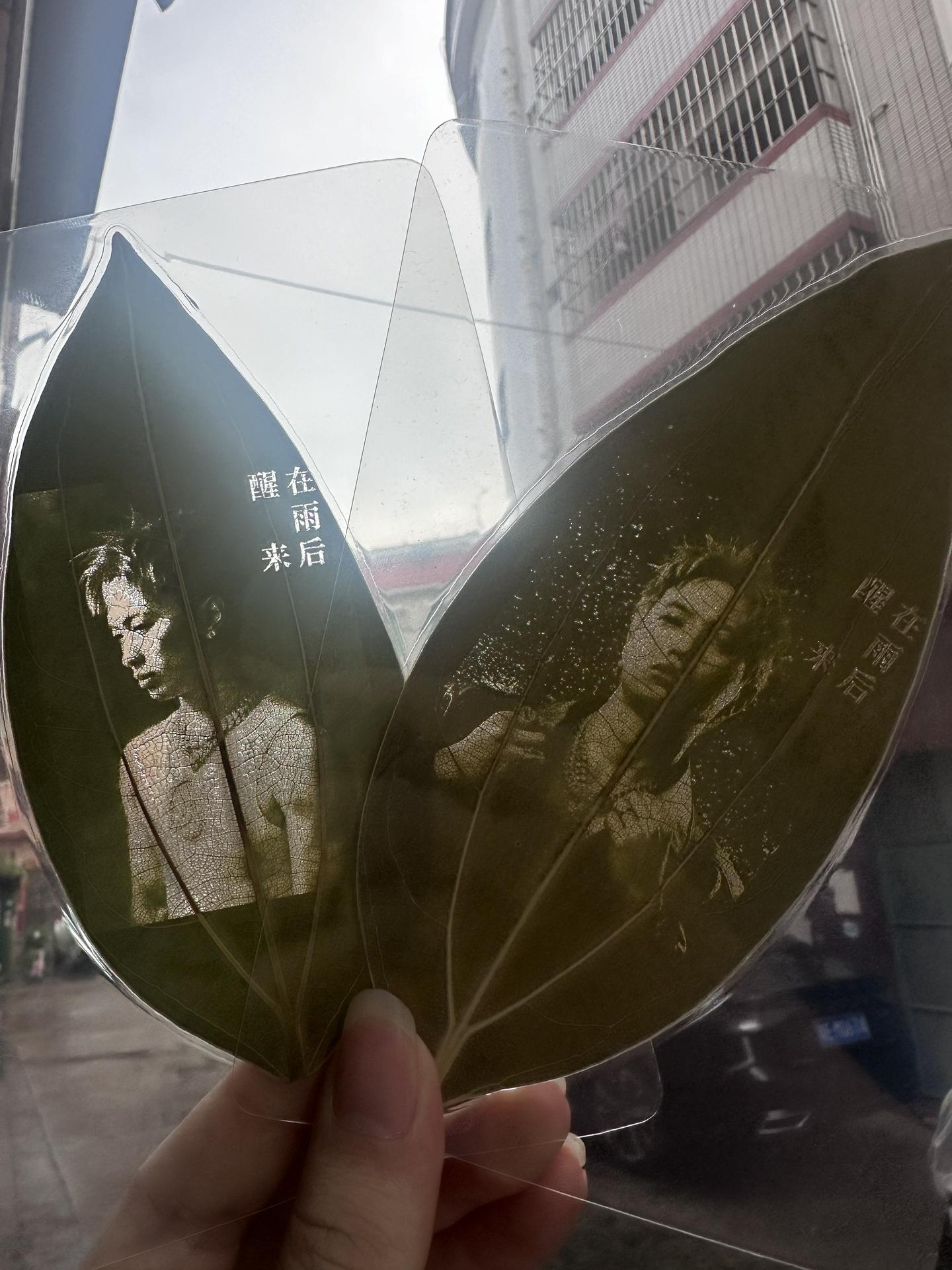 捉45个宝宝，抱走asen