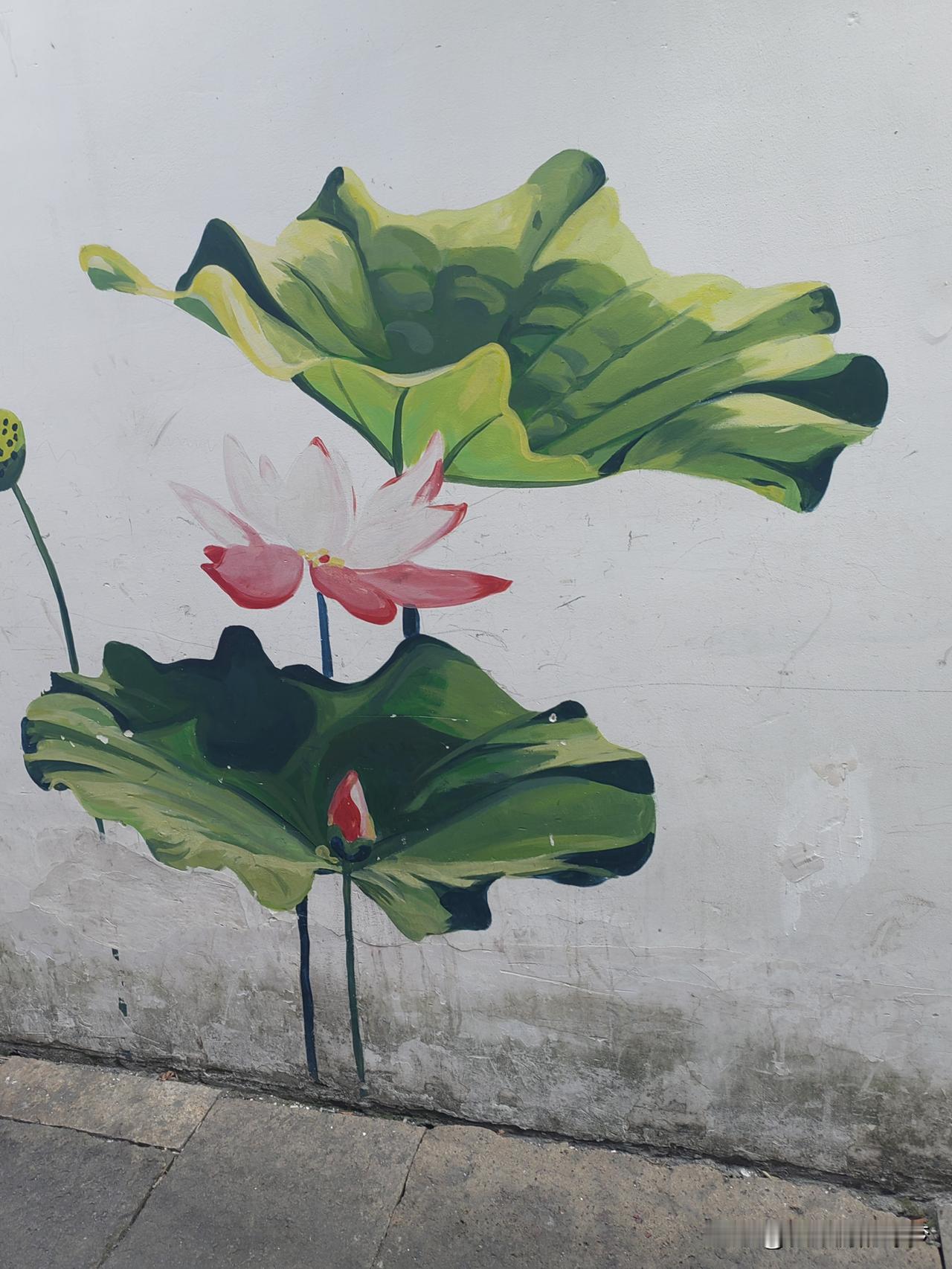 天南地北大拜年