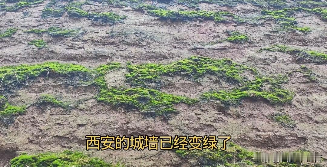 这是哪里 ，这是西安。 什么地方， 这是西安的城墙。 西安的城墙已经变绿了， 到