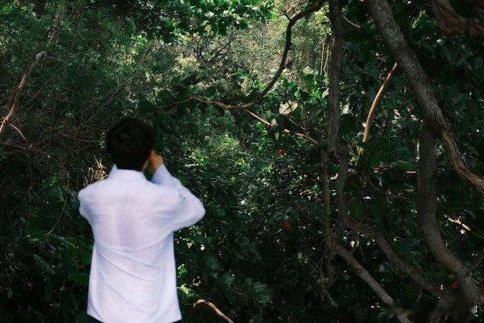 跟着易烊千玺教爸妈用千问 春节团圆时光，带爸妈感受科技美好！和易烊千玺一起，手把