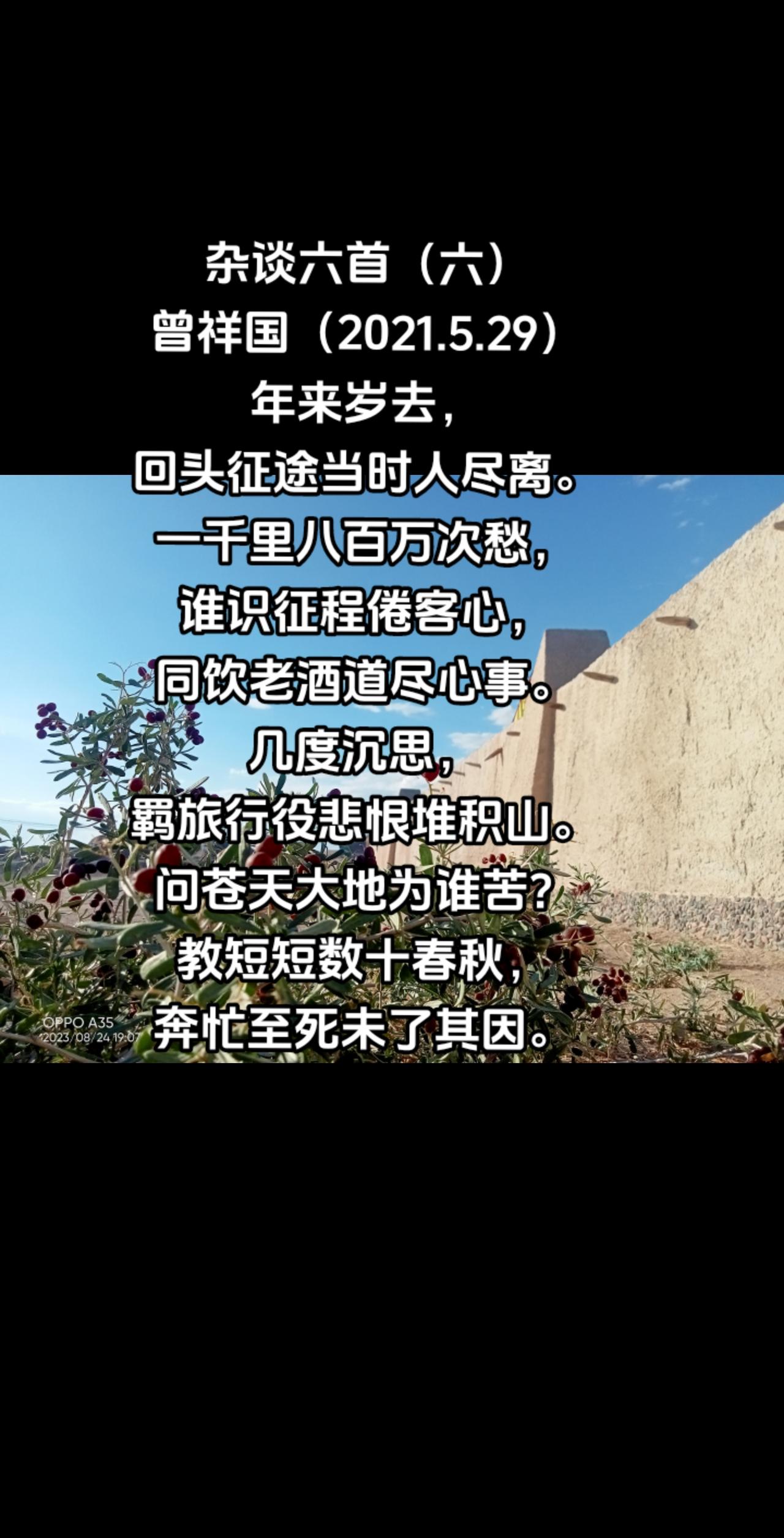杂谈六首（六）
