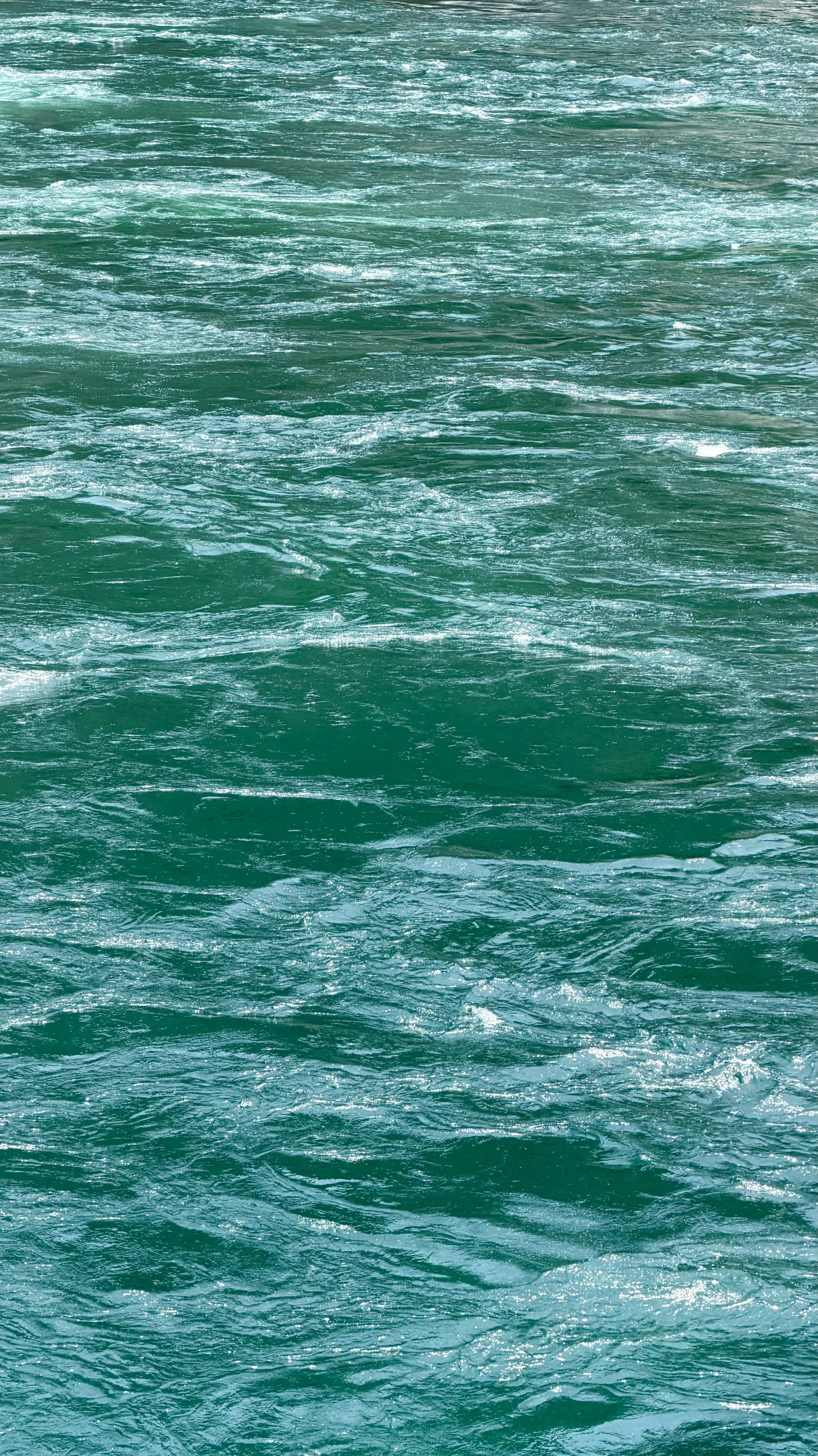 见水发财 