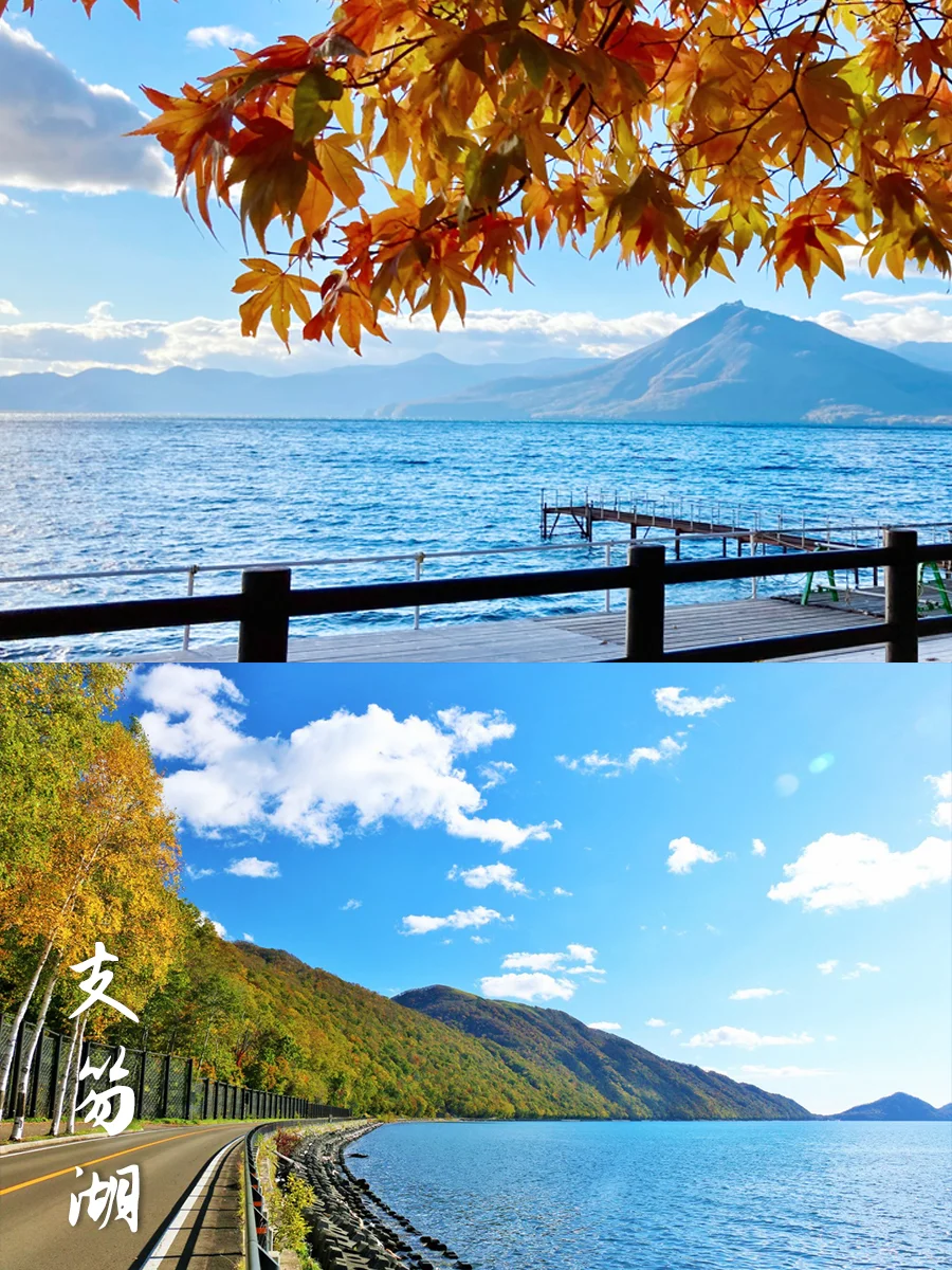 追逐秋天的童话/十月去北海道看唯美红叶