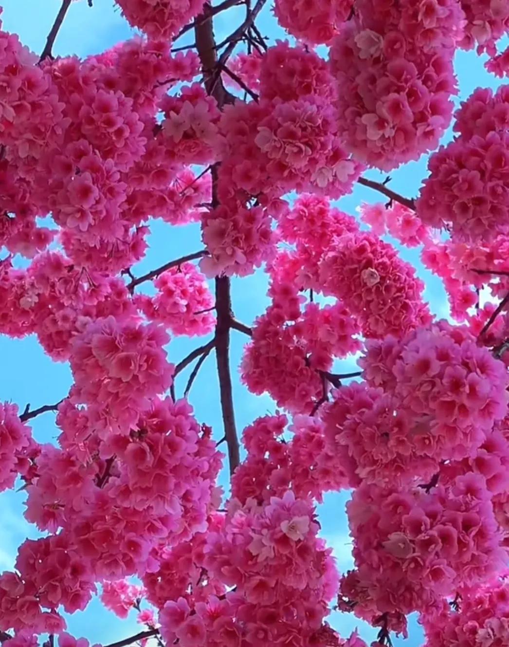 外围战局失控，大A情绪杀跌何时休！
周一大A大幅低开，盘中仅有微弱上冲，随后便再