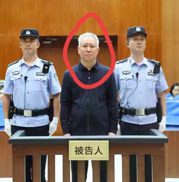 落马后和落马前判若两人，许家印被判无期，事情兜兜转转，许家印画了句号，但是，恒大