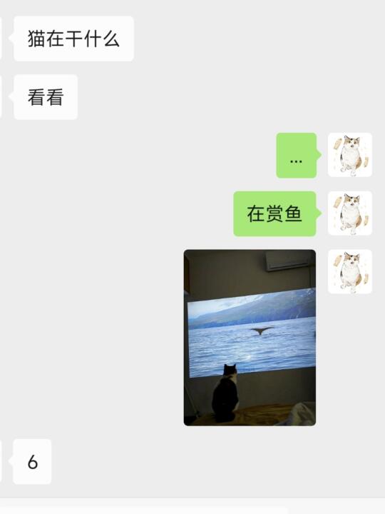 小猫也整上赛博赏鱼了