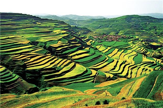 【生命在于运动，更在于心理的年轻态】
        生命在于运动，这道理谁都懂