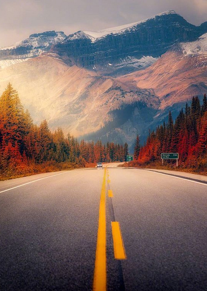 放低一些对别人的要求，自己也会高兴些吧。——  顾漫 ​​​