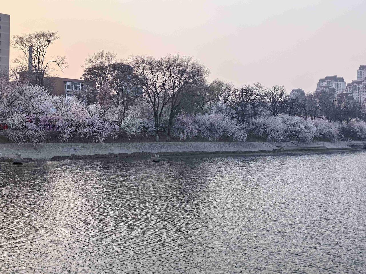 我的今日状态：💰期待暴富
我这里的天气：☀️晴天