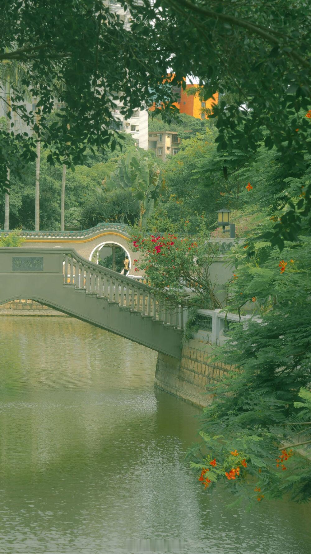 钟影一头撞进裴决青涩的情思，如同误入一场花期。——是笙《鱼在水底游了许久》晚安 