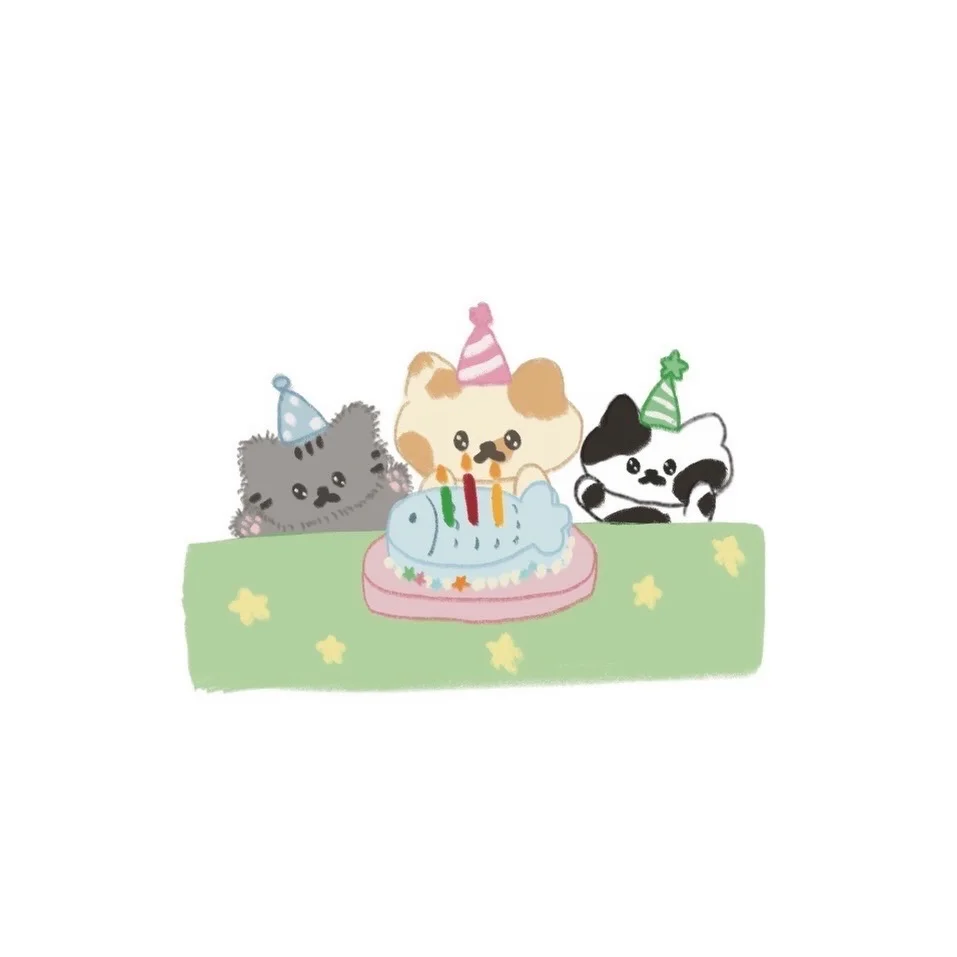 🎂🎀🐈🤍🐈‍