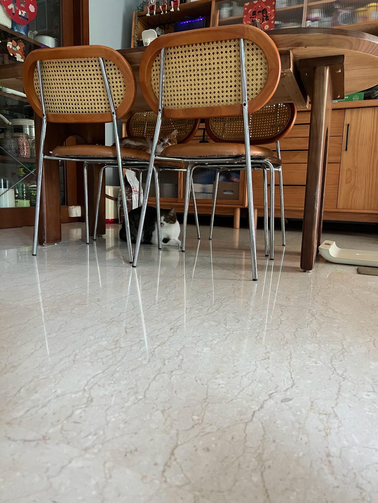躲猫猫失败，被发现了哦～