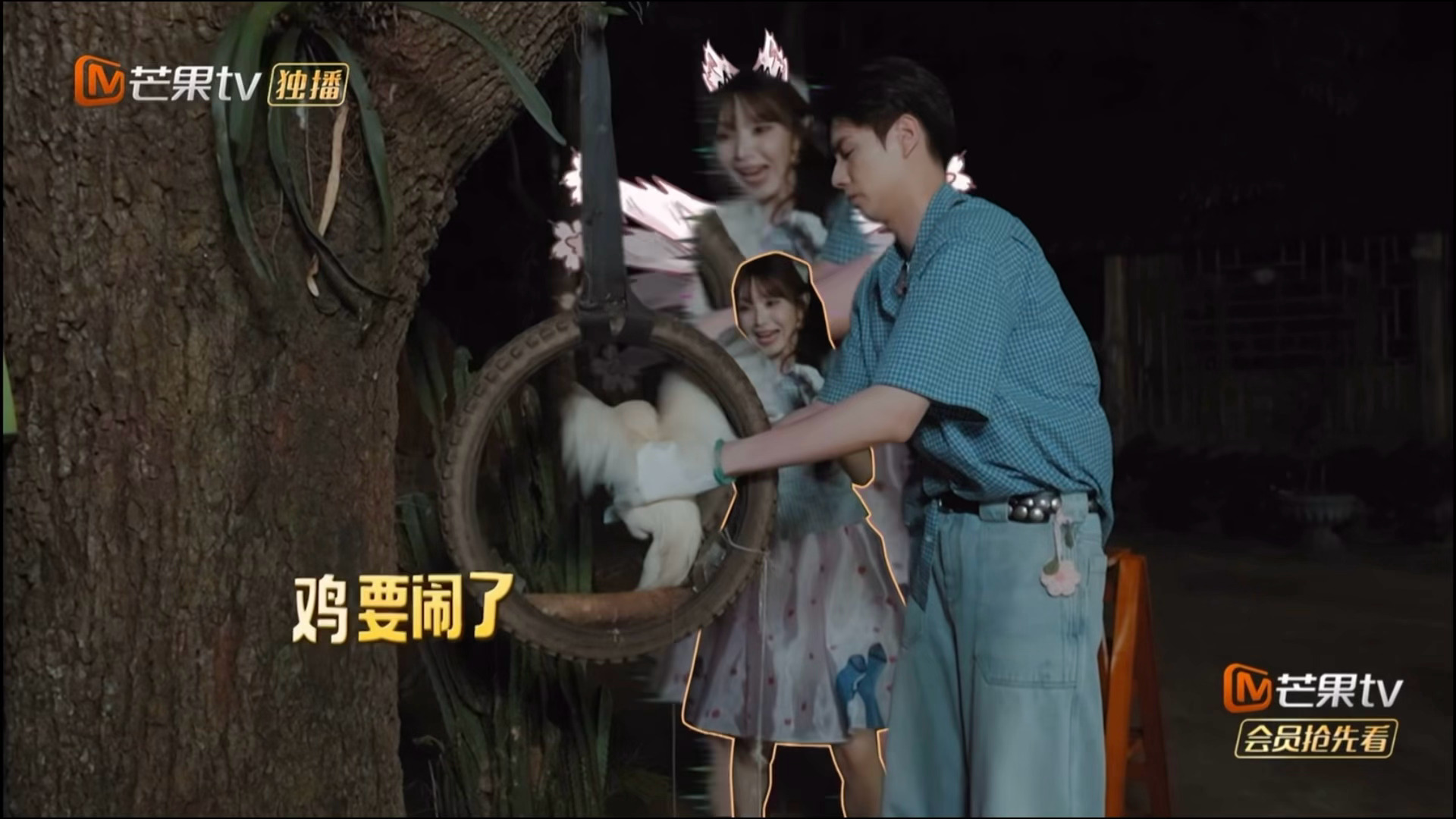 小猫惊恐之灵魂出窍🙀 