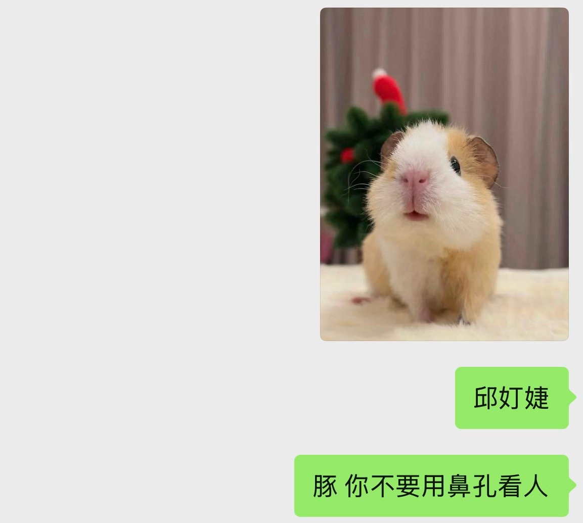 家里豚子怎么这样