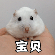 分享图片