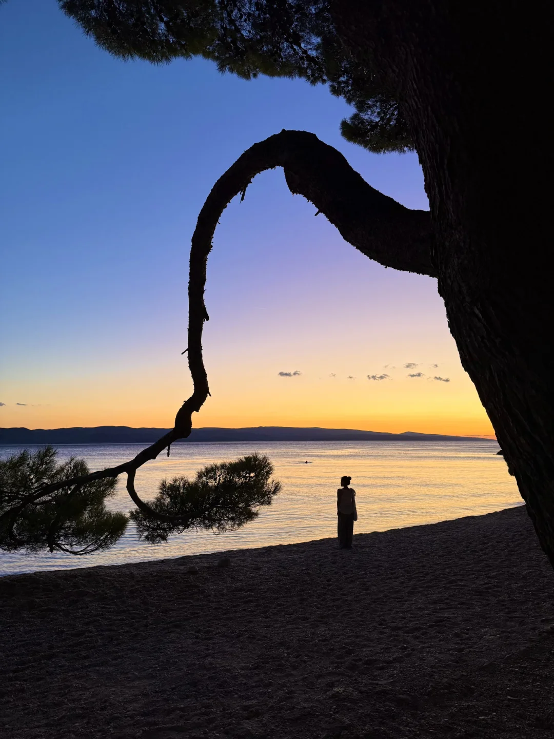 “是infj会心动的日落时刻 ”