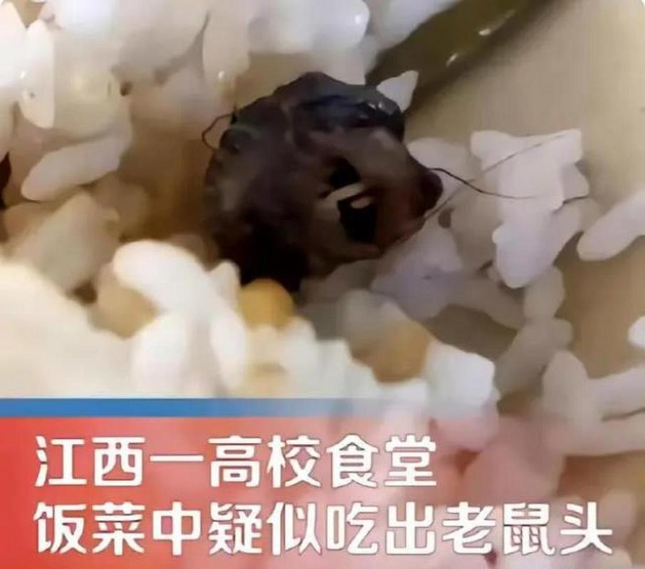 你能为“指鼠为鸭”正式进入成语语库而作首诗吗？

若要以诗咏之，不妨作一首七言绝
