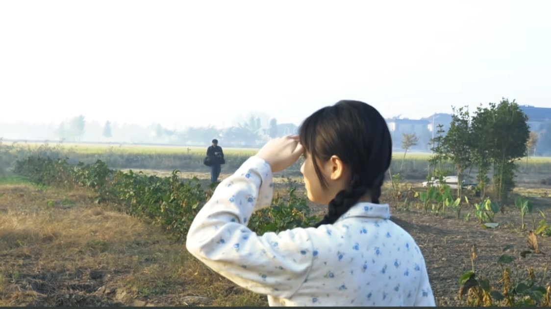 连夜补习青铜葵花原著在俺小时候这本书还不是必读书目 