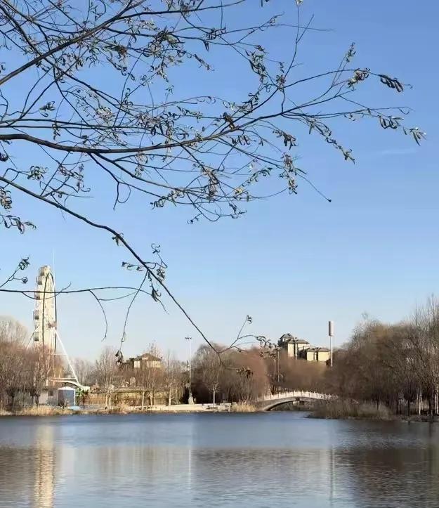 在人际交往中，有一种高阶技巧：保持热情大方的表象，但对一些事情一问三不知，给自己